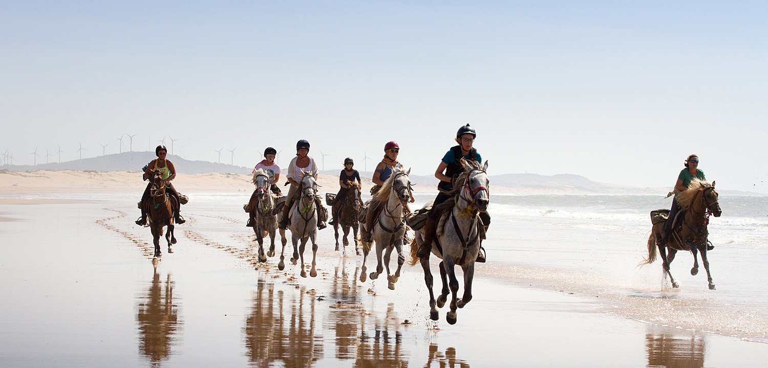 Équitation & Balade à Cheval