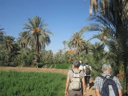 Randonnée Palmeraie & Oasis